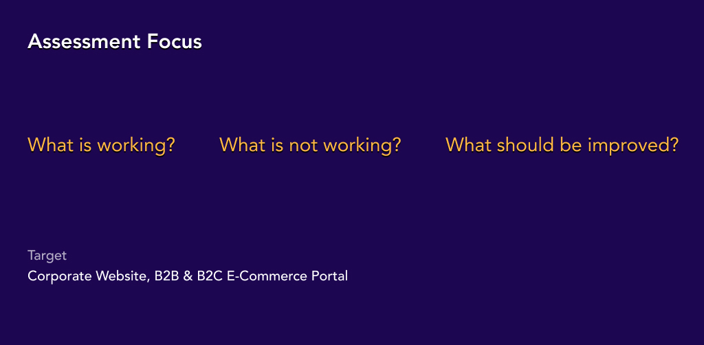ux assessment focus - Corporate Website, B2B & B2C E-Commerce Portal